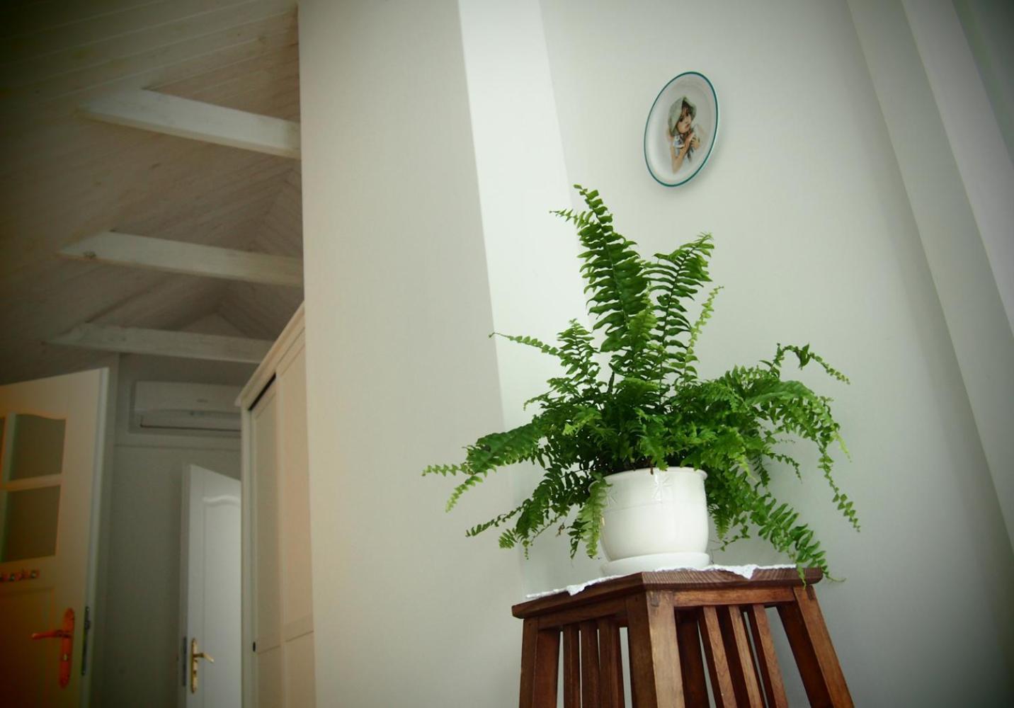 Alpakarium, Hodowla Alpak & Pensjonat Stara Kornica Экстерьер фото